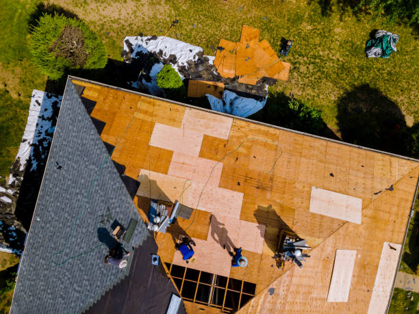 Best Local Roofing Companies  in Eudora, KS
