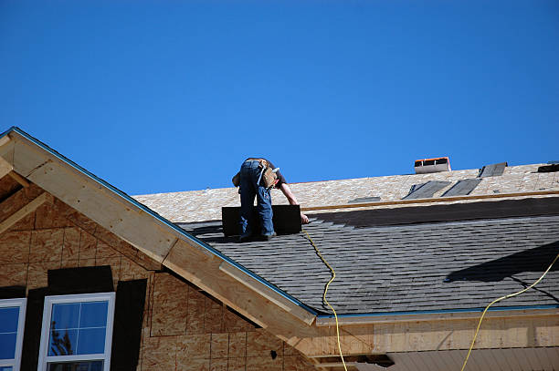 Best Metal Roofing Contractor  in Eudora, KS