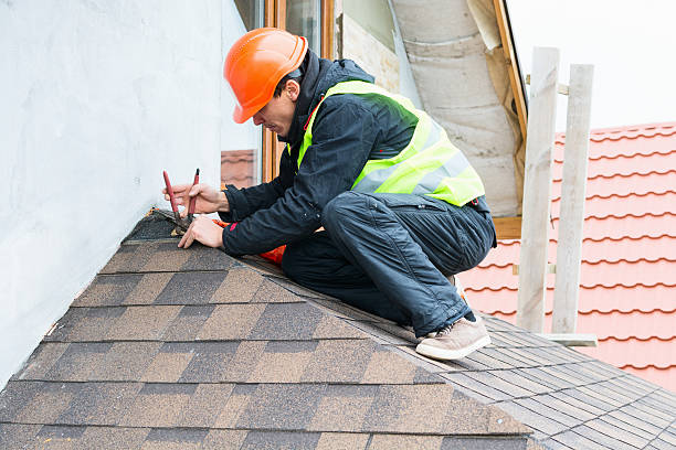 Best Metal Roofing Contractor  in Eudora, KS